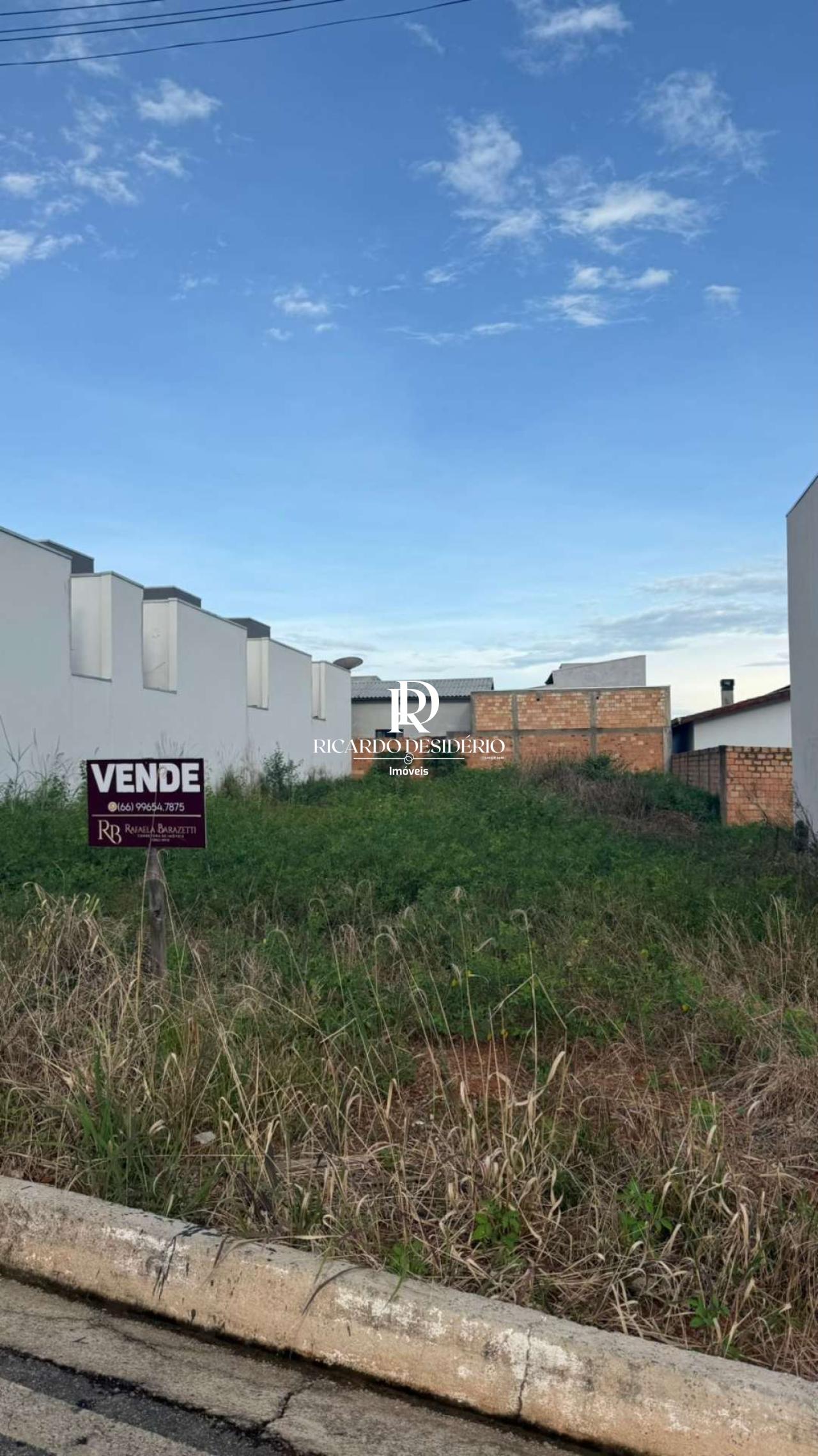 MT19 Terreno MATUPA